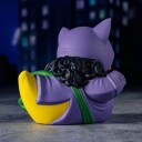 Batman Badeand Catwoman