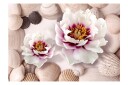 Fototapet Flowers And Shells 300x210 - Artgeist sp. z o. o.