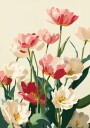 Coral Tulips In Bloom Plakat Plakat / 30x40cm