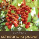 Schisandra Wu Wei Zi   Pulver   Økologisk    250g