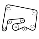CONTITECH 6PK2155K2 Kileremsett