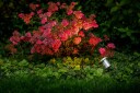 Garden Lights Arigo Hagelampe 190 lm, 3 W, GU5,3