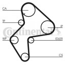 Registerrem CONTITECH CT772