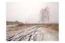 Fototapet Winter Field 300x231 - Artgeist sp. z o. o.