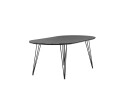 Venture Design Viga spisebord Svart 200 x 100 cm Svart