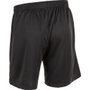 Endurance Sesto Treningsshorts Herre Svart 3XL