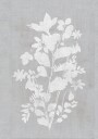 Botanical Illustration 2 Plakat Plakat / 70x100cm