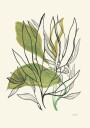 Modern Botanical Leaves Plakat / 100x150
