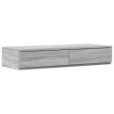  Sengeskuffer Grå sonoma 100 x 36.5 x 16.5 cm Konstruert tre