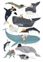 Whales In Hats Poster Plakat / 70x100cm