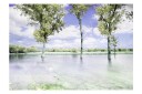 Fototapet Spring Scenery 400x280 - Artgeist sp. z o. o.