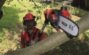Einhell Ge-Lc 18 Li T-Solo, Batteridrevet Grensag Med Teleskopskaft