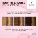 L'Oréal Paris Excellence Crème 7 Blonde