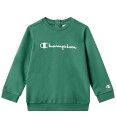 Champion Crewneck Suit Green 86