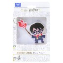 Harry Potter Kakelys Pk/1 