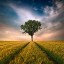 One Poster Plakat / 70x70cm