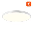 Gosund Taklampe Smart 32Cm Wifi/Bluetooth 16M Rgbcw Lb11 1920Lm Tuya + Fjernkontroll