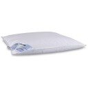 Zen Sleep Moskusdun Hodepute - 50x60 cm - "Mellom" -