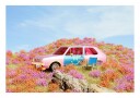 Smiley Car In Flowers Plakat / 40x50
