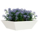  Plastpotte 5 pcs Hvit 50 x 50 x 15 cm Stål