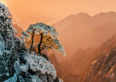 Resilience on the Edge Plakat Plakat / 70x100cm
