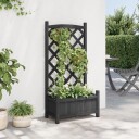 Plantekasse med espalier svart heltre gran
