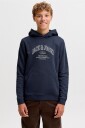 Jack & Jones Junior   Hettegenser Jjedenver Logo Sweat Hood Sn Jnr   Blå