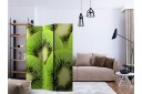 Kadira Rumsavdelare 135x172 cm VALUE_MISSING_1 -
