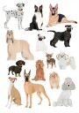 Dogs in glasses Print Plakat / 30x40cm