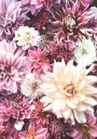 Flowers in Pink Plakat Plakat / 21x30cm