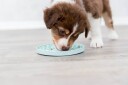 Trixie Junior Slikkematte 15cm Mintgrønn for Valper