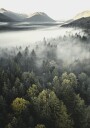 Misty Mountain Plakat Plakat / 100x150cm