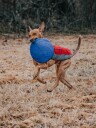 Liten Myk Frisbee Til Liten Hund I Gummi 15Cm