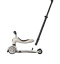 Scoot and Ride Ash Highwaykick 1 Push&Go