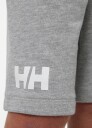 Helly Hansen Jr HH Logo Shorts Grey Melange (164 /14 år)