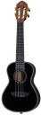 Ortega RUOX-CC