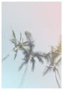 Pastel Palms Bliss Plakat Plakat / 40x50cm