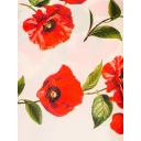 Alice + Olivia Dame Accessories Flerfarget ONE SIZE,