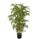 Mr Plant Bambus 150 cm