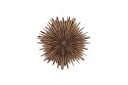 Venture Design Sälen adventsstjerne Brun 60 cm Brun