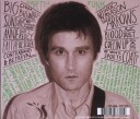 The Howling Hex  Earth Junk  CD