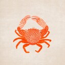 Crimson Claw Charm Plakat / 30x30