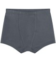 CeLaVi Boxers 3 Pack   GRAY WHALE   130