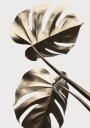Monstera Gold 08 Poster Plakat / 100x150cm
