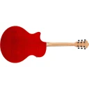Ibanez AE170-NTR Ak. gitar m/mik AIR port AE