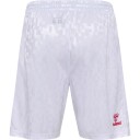 Danmark 24/25 Hjemme Landslagsshorts Hvit S