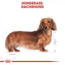 Royal Canin Dachshund Voksen Tørrfôr 1,5 kg - Hundefôr for frisk mage og ledd