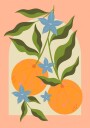 Orange Branch with Flowers Plakat / 21x30