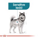 Royal Canin Maxi Joint Care 10 kg Tørrfor for Voksne Hunder med Leddbehov