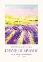 Champ De Lavande Plakat Plakat / 70x100cm